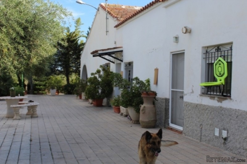 Elche, Alicante- 5 Bed Country House..