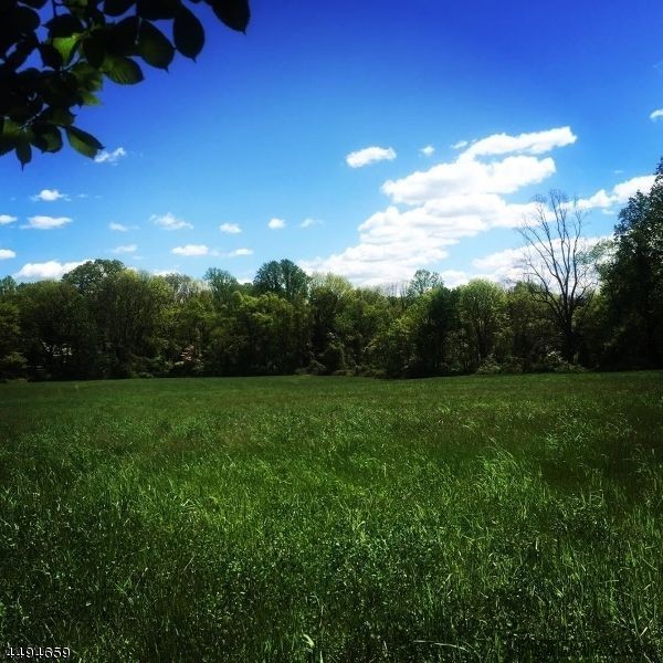 Land For Sale: 22 Pinefield Lane