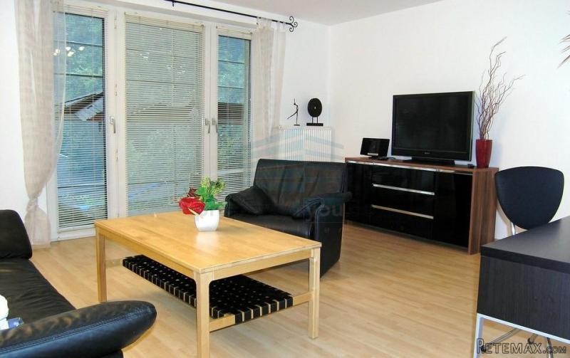 Moblierte 2 Zimmer Wohnung mit grosser.. - 2