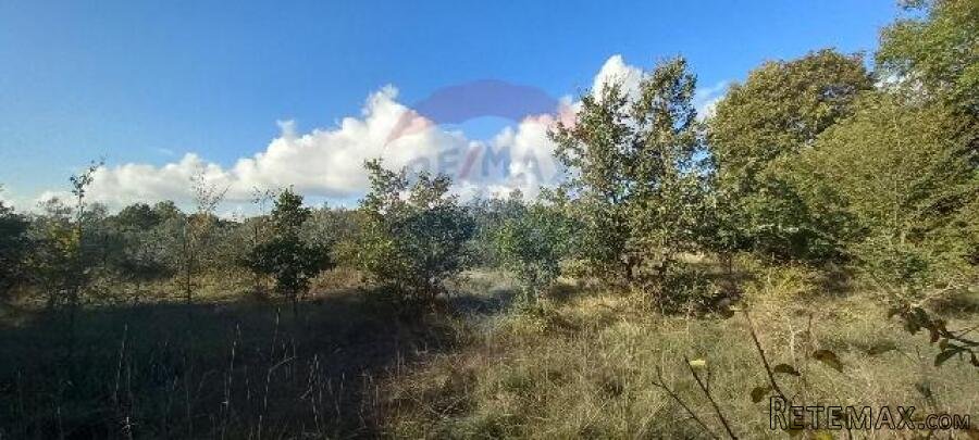 Istra,Kanfanar-građevinsko zemjlište gospodarske namjene