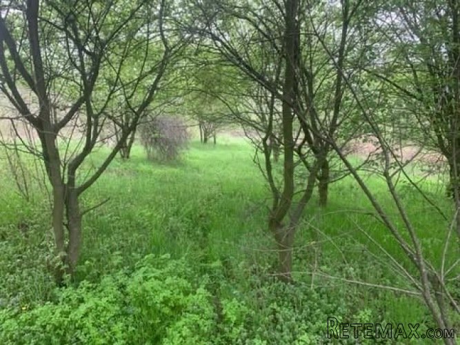 Plac Vlaska,Mladenovac,33.58ari - 2