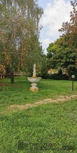 Kuca sa restoranom u Irigu - 16