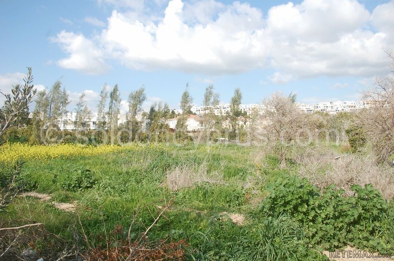 - Land - Paphos - For Sale - 2