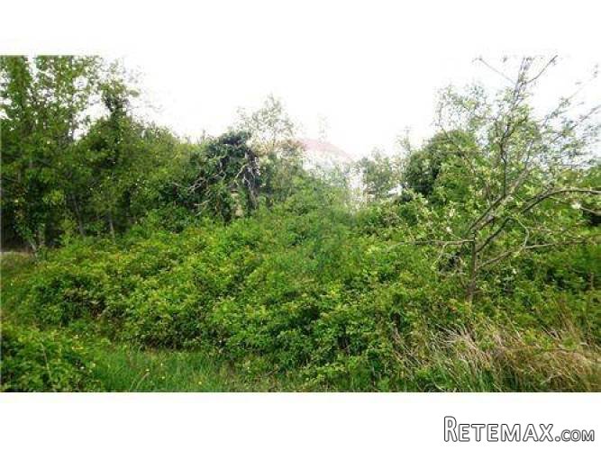 PREKRASNA STANCIJA 33000 M2 S RUŠEVINOM ZA OBNOVU - 5