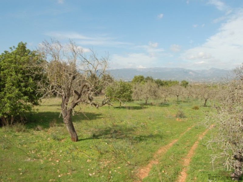 Building Plot With Lovely Views In..