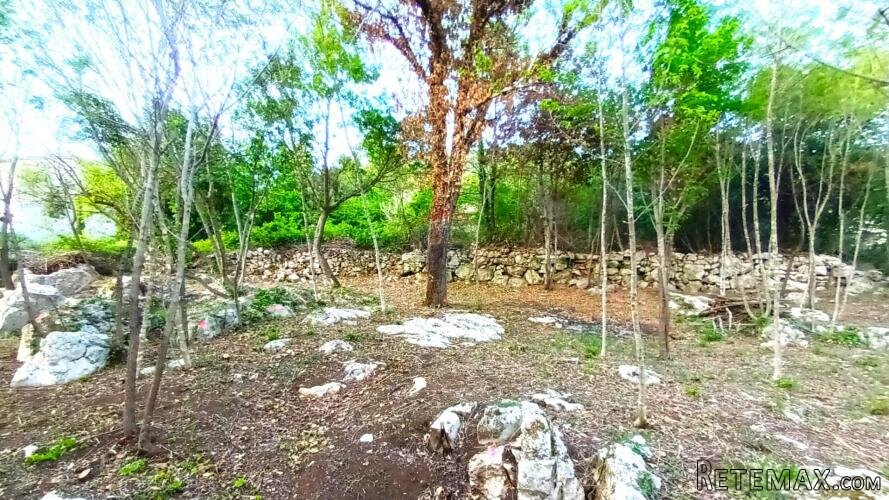 Istra,Lupoglav-Građevinsko zemljište okruženo prirodom - 2