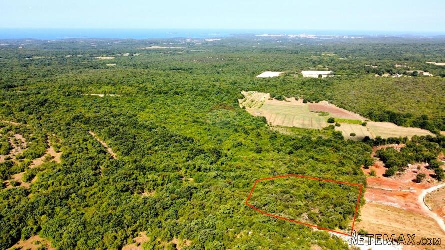 BALE - Šuma s panoramskim pogledom na more i Rovinj