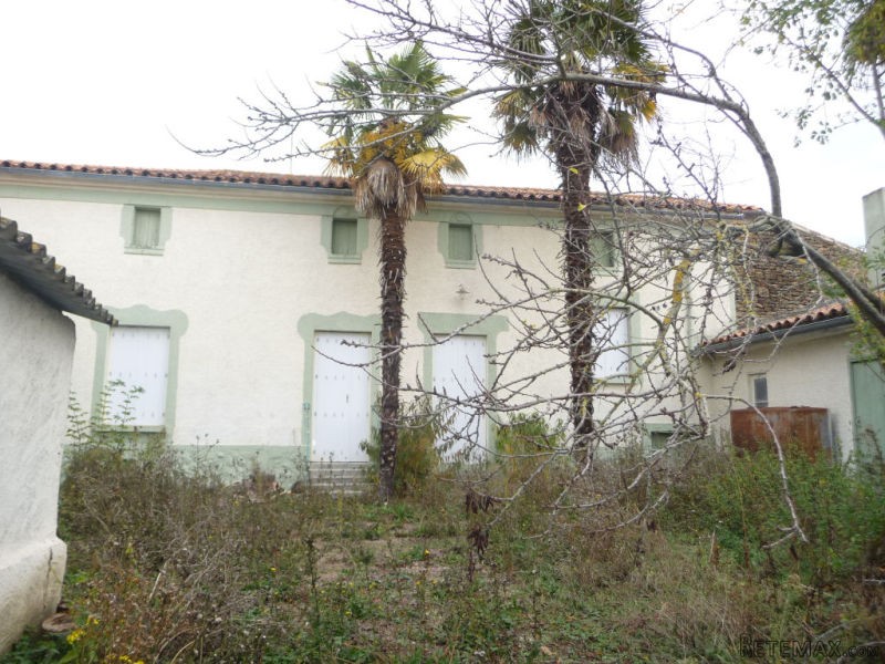 House with Big Potential