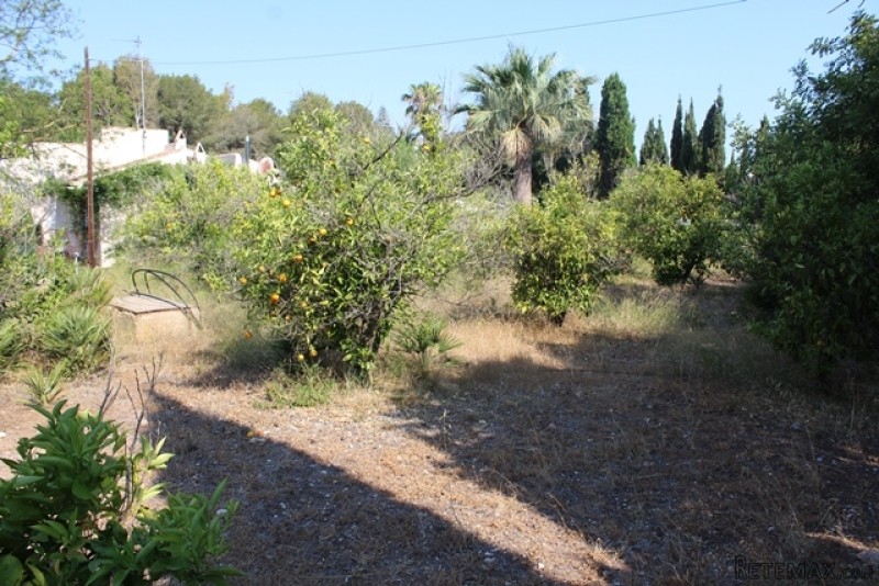Plot in Javea - 2