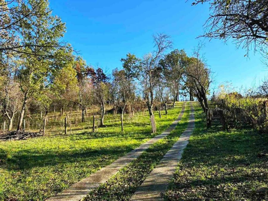 TOP PONUDA,seosko domacinstvo Rajac-Cacak - 8