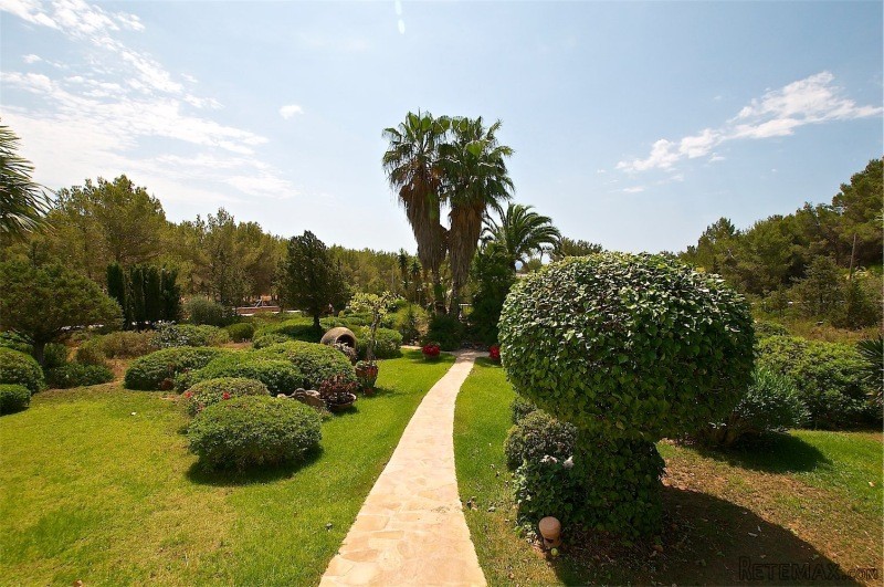 Property - Ibiza - For Sale - 2