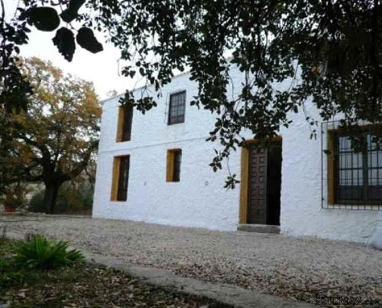 Country Home*