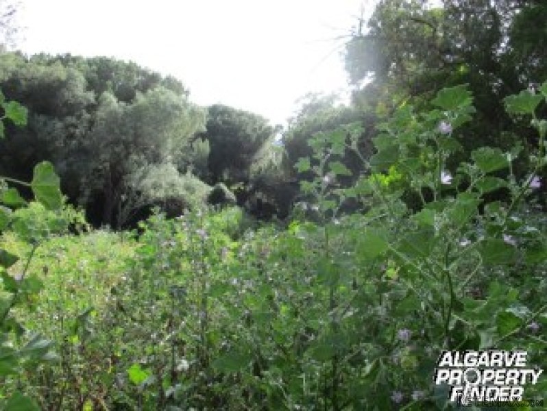 For Sale: Plot In Central Algarve.. - 2