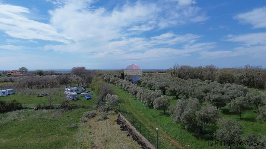 Istra, Brtonigla - Građevinsko zemljište za gradnju kuće