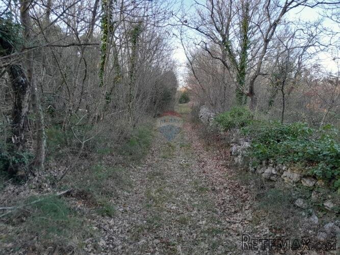 Istra,Orbanići,šuma i pašnjaci - 2