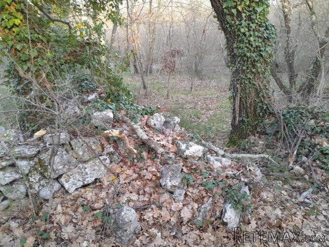 Istra,Orbanići,šuma i pašnjaci - 3