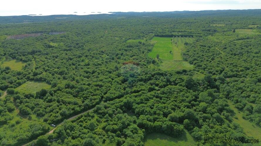 ISTRA, BALE - Povoljno poljoprivredno zemljište
