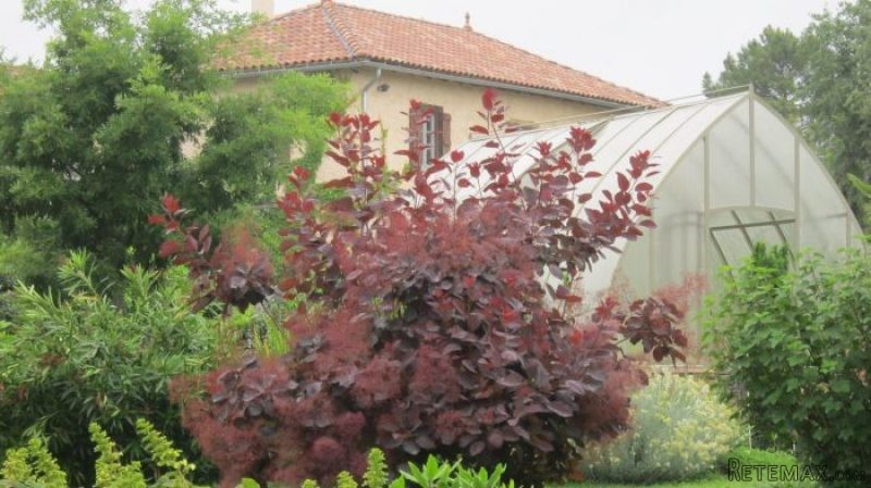 2 Bedrooms - House - Midi-Pyrenees -.. - 2
