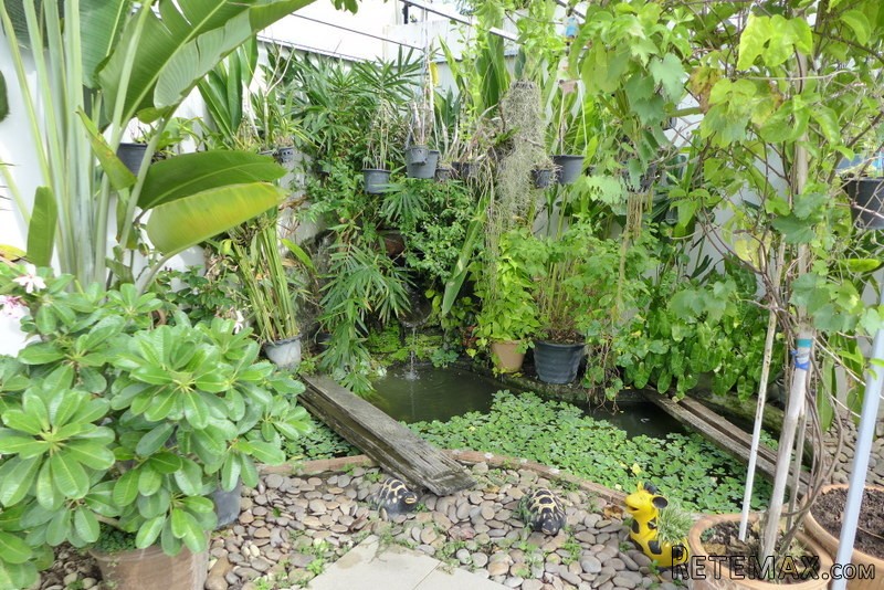Modern 5 bedroom house with large pool..