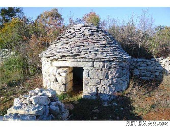 ISTRA,BALE: ZEMLJIŠTE S MASLINAMA I KAŽUNOM 10200 m2 - 2