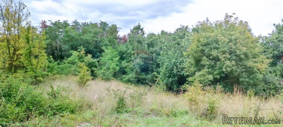 Istra, Žminj, Građevinsko zemljište 1953 m2 na lijepoj lokac - 5