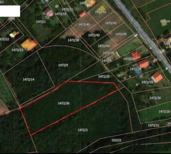 Prodaje se šumsko zemljište na opštini Barajevo-Batašina
