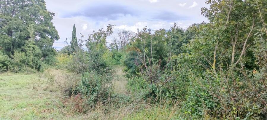 Istra, Žminj, Građevinsko zemljište 1953 m2 na lijepoj lokac - 6
