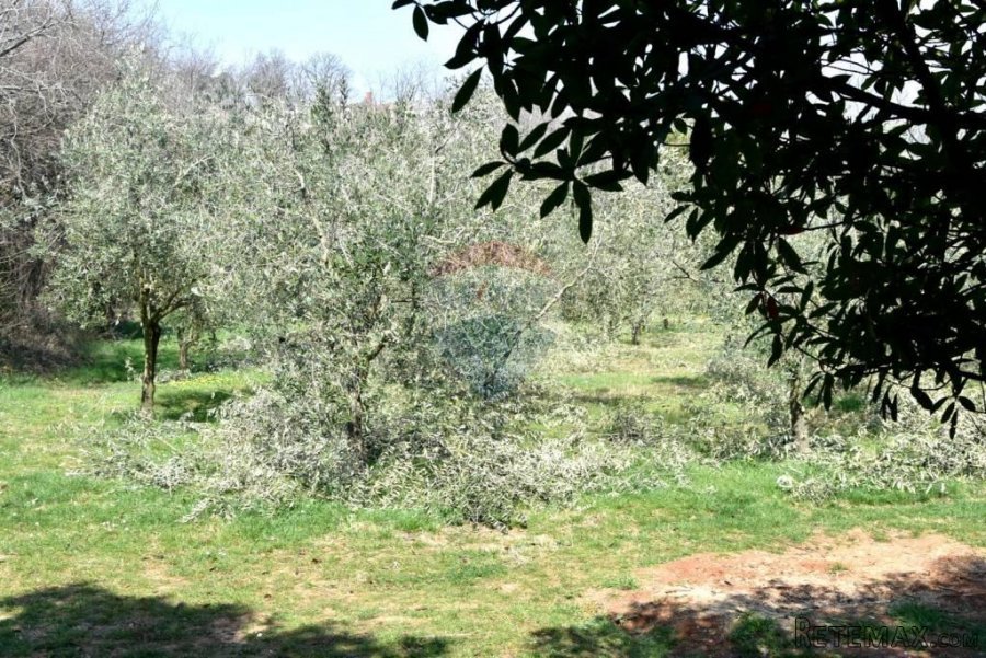 Istra, Poreč, lijepa obiteljska kuća na odličnoj lokaciji ne - 6