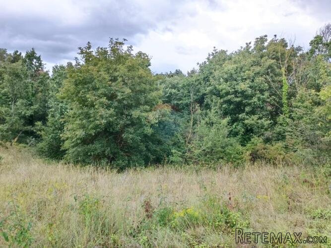 Istra, Žminj, Građevinsko zemljište 1953 m2 na lijepoj lokac - 8