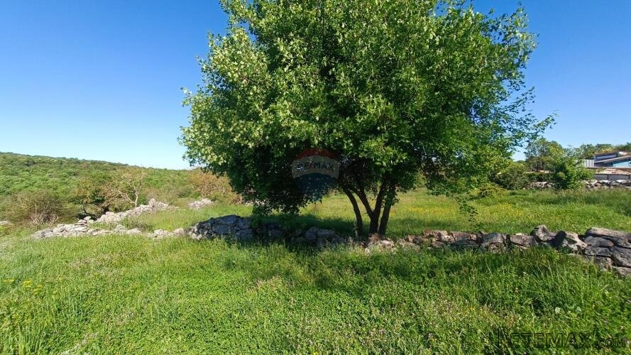 Istra, Bale- građevinsko zemljište na odličnoj poziciji - 2