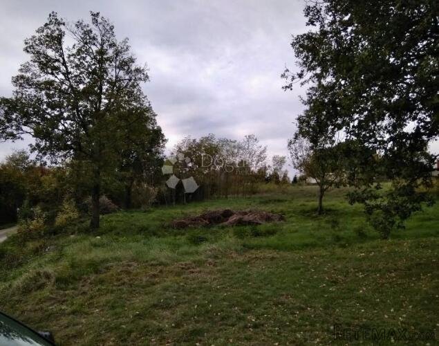 TINJAN - BERAM - GRAĐEVISNKI TEREN - 2