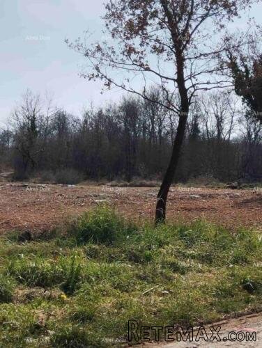 Zemljište 2765 m² na mirnoj lokaciji – Poreč - 2