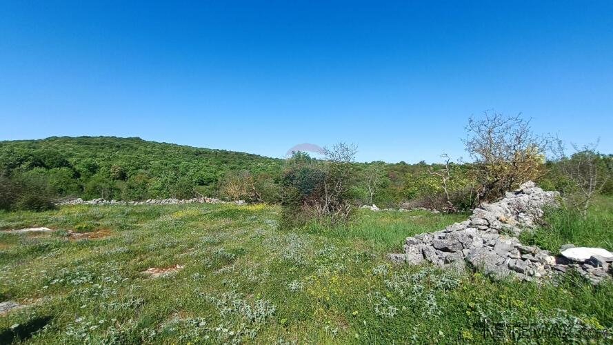 Istra, Bale- građevinsko zemljište na odličnoj poziciji - 3