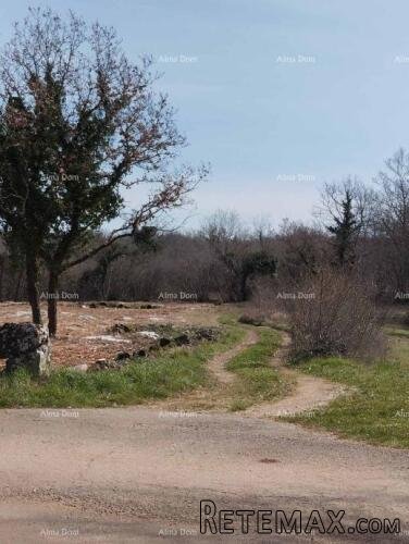 Zemljište 2765 m² na mirnoj lokaciji – Poreč - 4