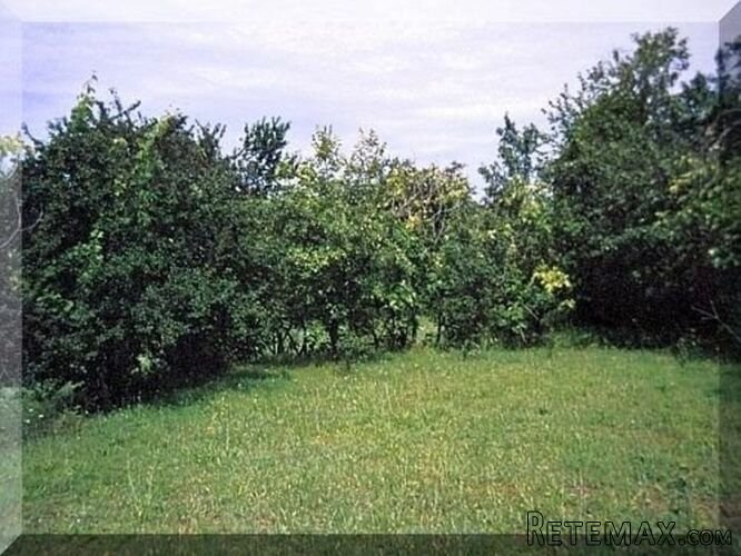 Danilovgrad - 6