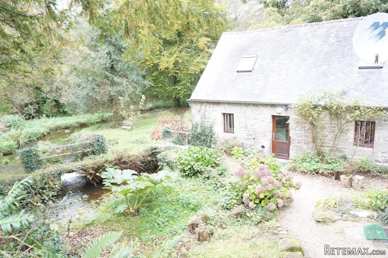 Former Water Mill Property