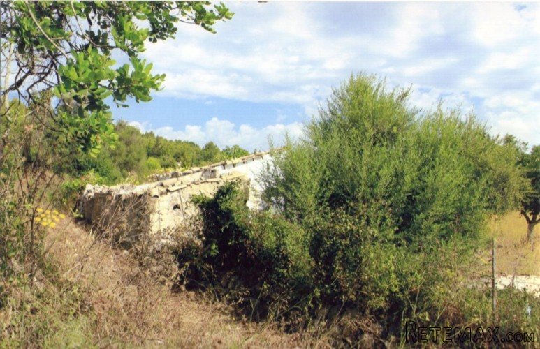 Piece of land 4,700 m2 in Alcudia (near to Can Segué)...