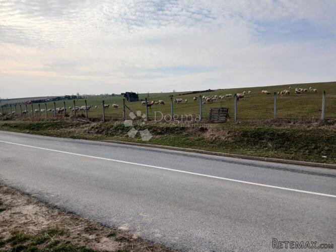 EKSKLUZIVNO - UHODANI OPG NA VELIKOM POLJOPRIVREDNOM ZEMLJIŠ - 2