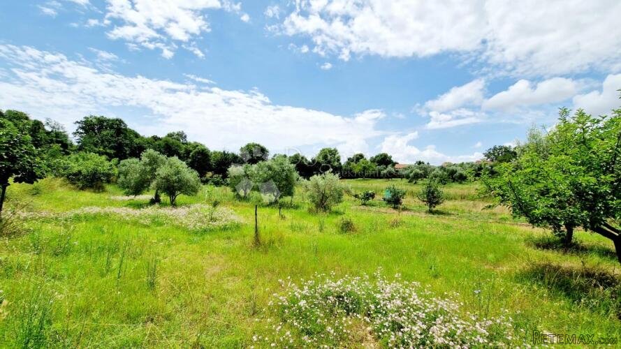 Mala kućica u mirnom okruženju - 2
