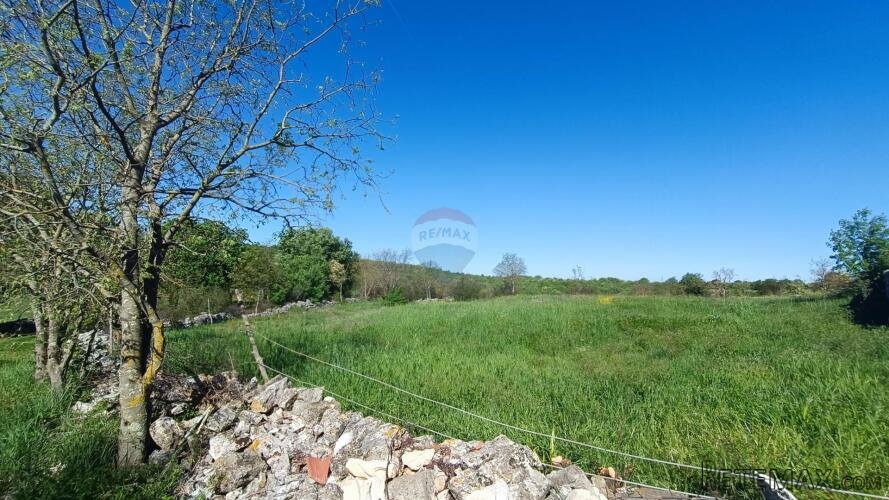 Istra, Bale- okolica - građevinsko zemljište - 3