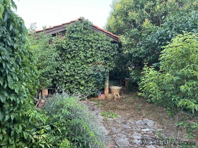 Istra,Vodnjan,teren sa uctranim starim objektom - 3