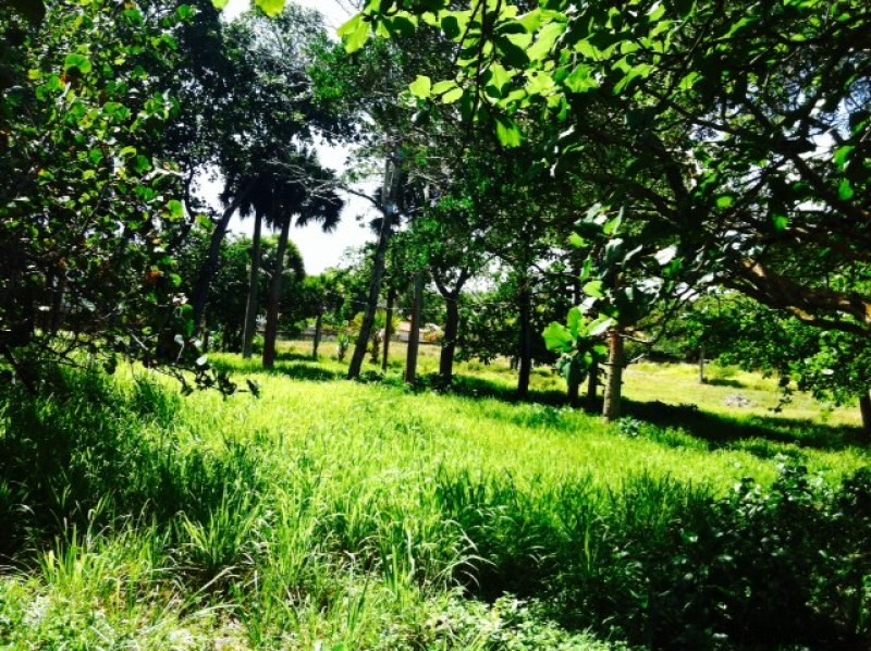 Waterfront Lot Of 2.08 Acres For Sale.. - 2