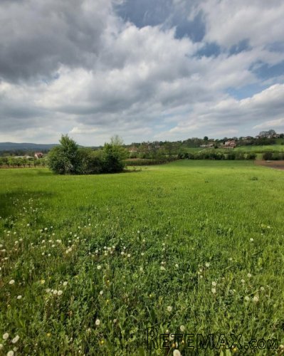 Kosmaj-Koracica gradjevinski plac 120ari - 5