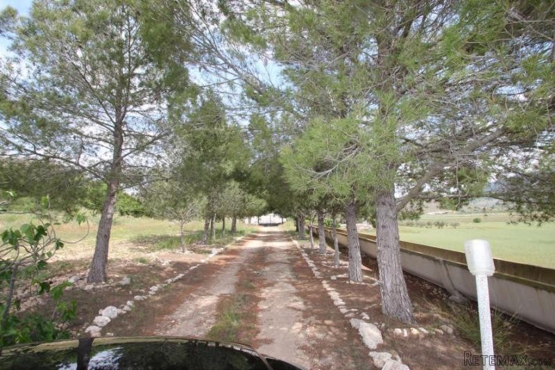 Massive country house between Pinoso.. - 2