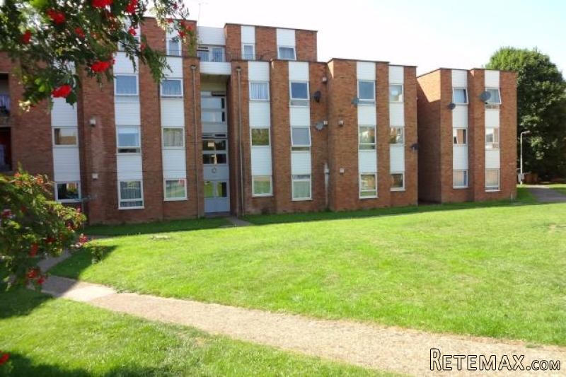 1 bed flat to rent