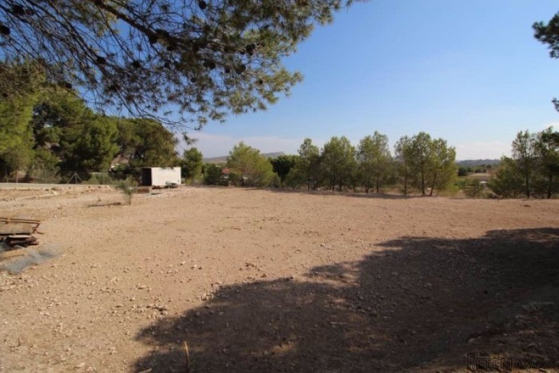 House For Sale Hondon De Las Nieves - 2