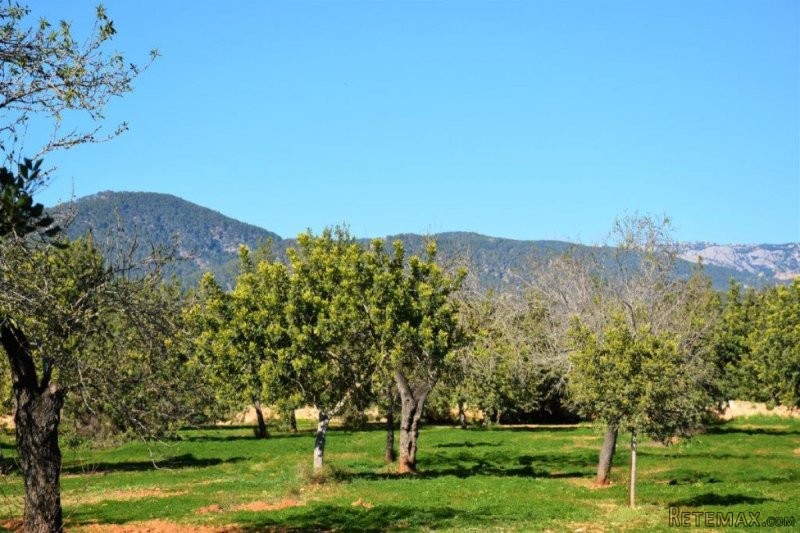 Fantastic building plot with licence..