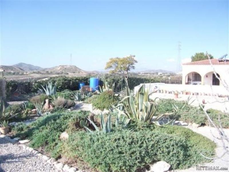 Villa in Albox - 2
