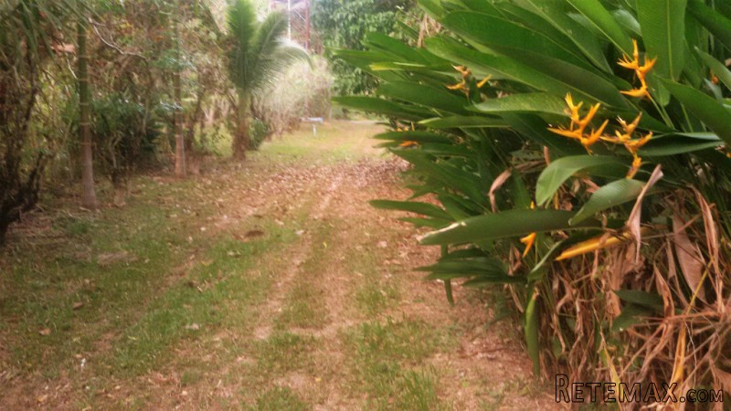 Bang Pae - 11 Rai Mountain View Land.. - 2