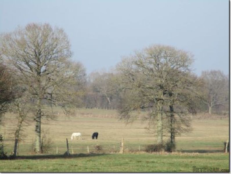 Superb Character Long House Longere - 2
